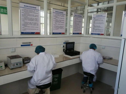 聚焦校园餐桌安全，筑牢健康防线——城区学校食品安全专题培训会圆满举行